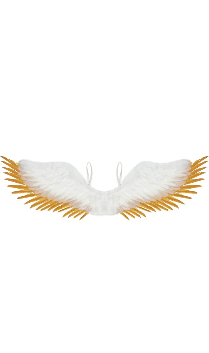 Ailes Blanches et Dorées – Image 2