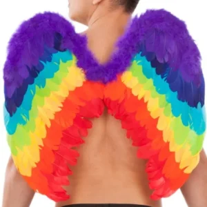 alas-corazon-arcoiris_jpg.jpgv1724757855 Ailes Coeur Arc-en-Ciel