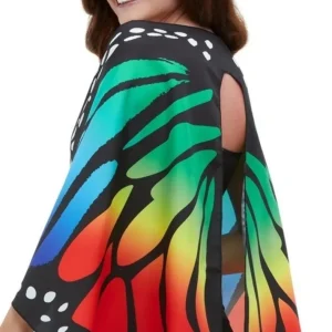 Ailes de Papillon Arc-en-Ciel