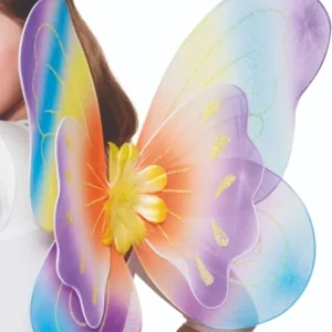 Ailes de Papillon Multicolore