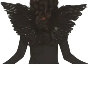 Ailes Plumes Noires eco