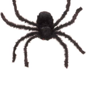 Araignée Poilue Géante