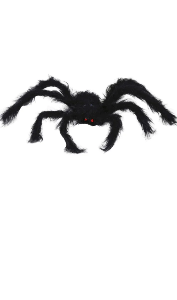 Araignée Noire Poilue