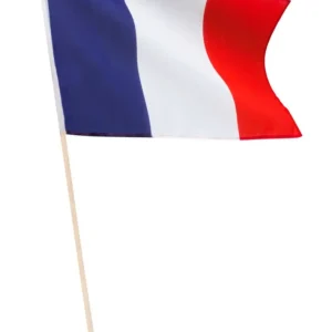 Drapeau de France avec bâton
