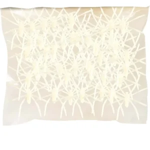 Sachet 42 Araignées Phosphorescentes