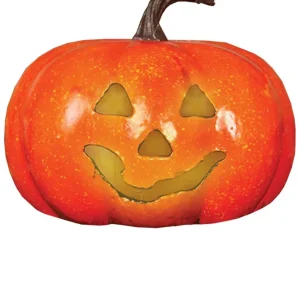 Citrouille Orange Lumière