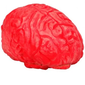 Cerveau Ensanglanté