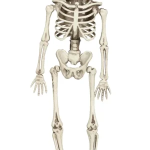 Décoration à Suspendre de Squelette Classique