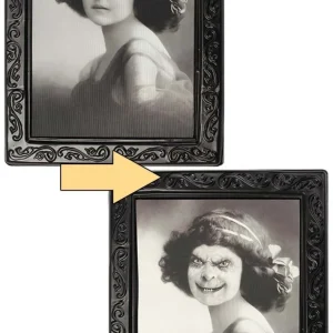 Portrait Terreur Dame Petit