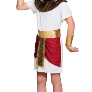 disfraz-de-egipcio-tutankamon-infantil_jpg_f5400fe3-b503-417b-a9fa-43e4e72831ae-388947.jpgv1691654687 Déguisement Égyptien Toutankhamon pour enfant