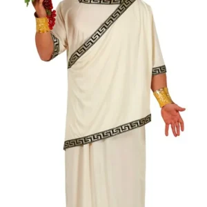 Déguisment de Romain Dionisio pour homme