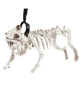 Chien Squelette