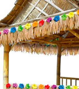 Frange Déco Hawaï Courte