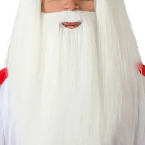 Perruque et Barbe Druide Gaulois