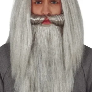 Perruque et barbe Longue Grise