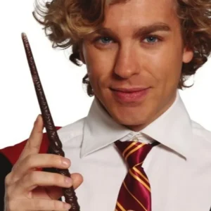 Baguette de Magicien Harry Petite